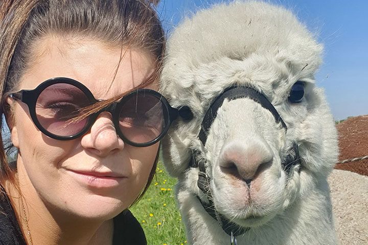 Alpaca Heights