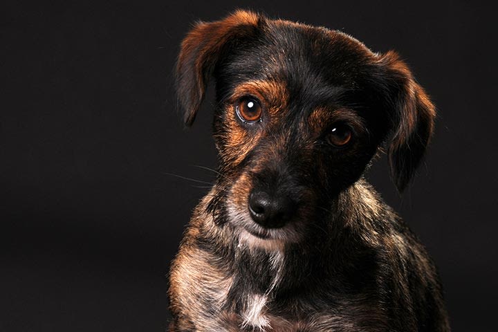 Millie from Supplier Team