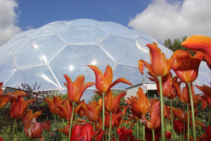 Carla from Contracting