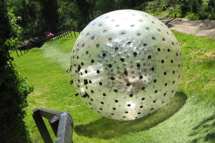 Shelby from Marketing