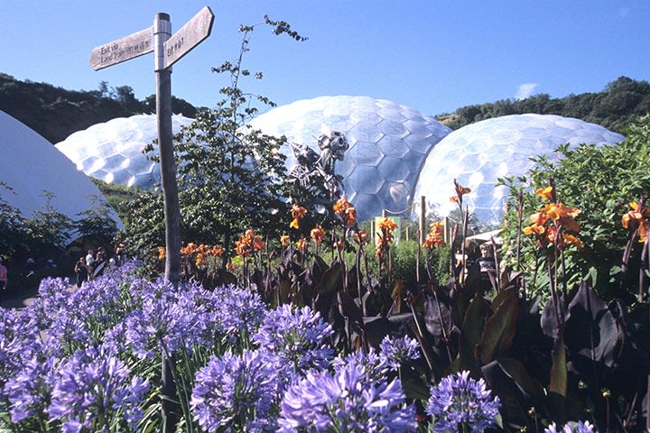 Sapphire from Customer Service