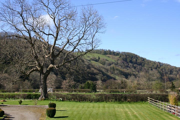 Roxie from Supplier Team