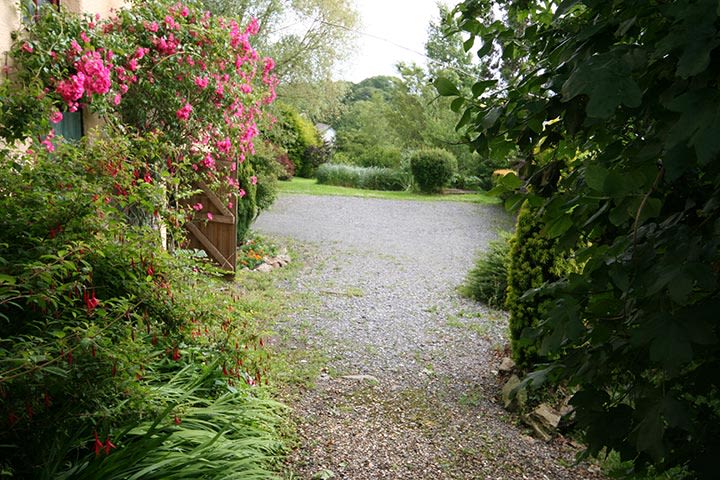 Ria from Supplier Team