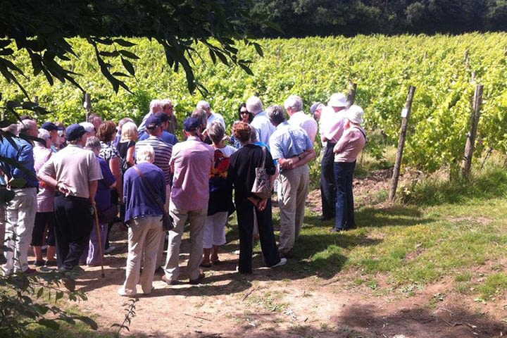 Robert from Marketing