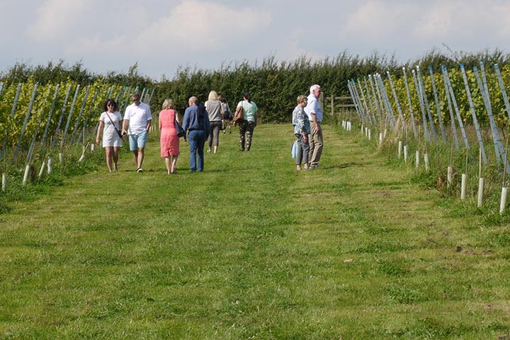 Robert from Marketing