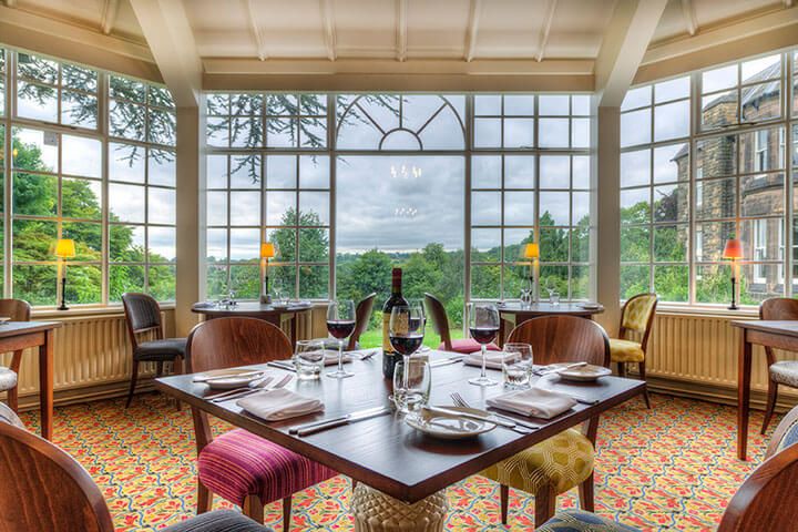 Tzarina from Marketing