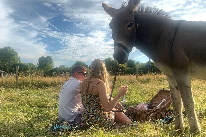 Lillie from Customer Service 