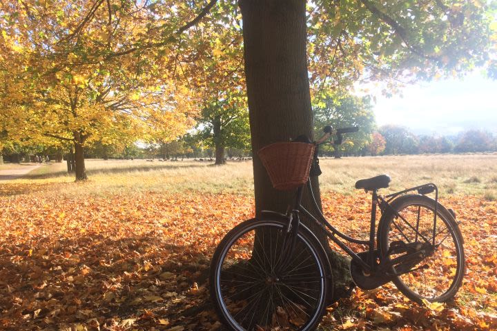 Stacey from Customer Service