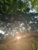 Early morning 