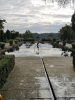 A Visit to The Brighton i360 and Borde Hill Garden for Two