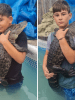 Swimming with the Crocodiles for Two 