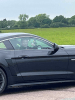 Mustang drive