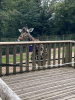 Family Entrance to Dudley Zoo