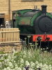 Steam Train Experience for Two