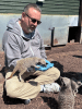 Meet the Meerkats for Two