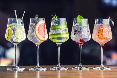 Two Tickets to the Gin to my Tonic Festival