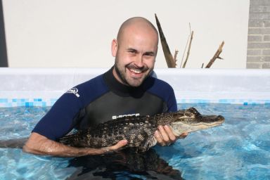 Swimming with the Crocodiles for 2
