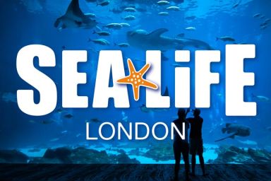 SEA LIFE London and Lunch at Planet Hollywood for Two