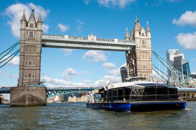 London Eye and Lunch Cruise - Weekdays