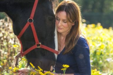 Private Meditation Session with Horses for Two 