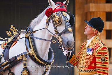 Visit to the Royal Mews & Household Cavalry Museum with Sparkling Tea for 2