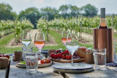 Tour & Picnic for Two at Wildshark Vineyard