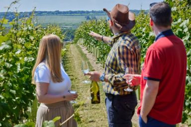 Tour & Pizza for Two at Wildshark Vineyard