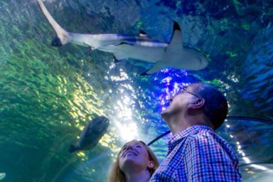 Entrance to SEA LIFE for Two