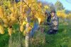 Sedlescombe Vineyard Tour for Two