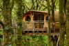 Two Night Family Tree House Escape