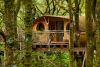 Two Night Family Tree House Escape