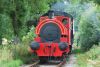 Steam Train Experience for a Family of Four