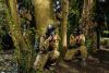 Forest Paintballing for Four with 200 Paintballs