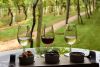 Vineyard Tour and Tasting for Two at Stanlake Park Wine Estate