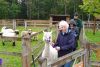 Family Meet & Greet with the Alpacas 