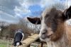 Animal Encounters & Experiences