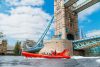 Thames Rockets Speedboat Experience for One