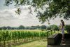 Gusbourne Estate Sparkling Wine Tasting for 2