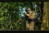 Forest Paintballing with 100 Paintballs for Two