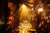 The Paddington Bear™ Experience & Bus Tour for 1 Adult & 1 Child