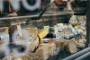 The London Cheese Crawl For 2