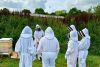 Discover Beekeeping