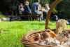 Foraging Day with Wild Lunch