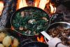 Foraging Day with Wild Lunch