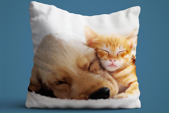 Personalised Pet Photo Cushion