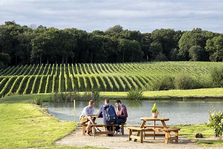 vineyard tour hereford