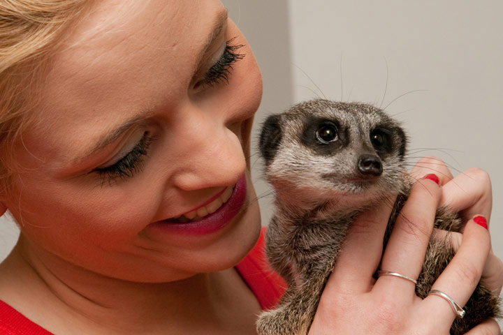 Animal Encounters & Experiences