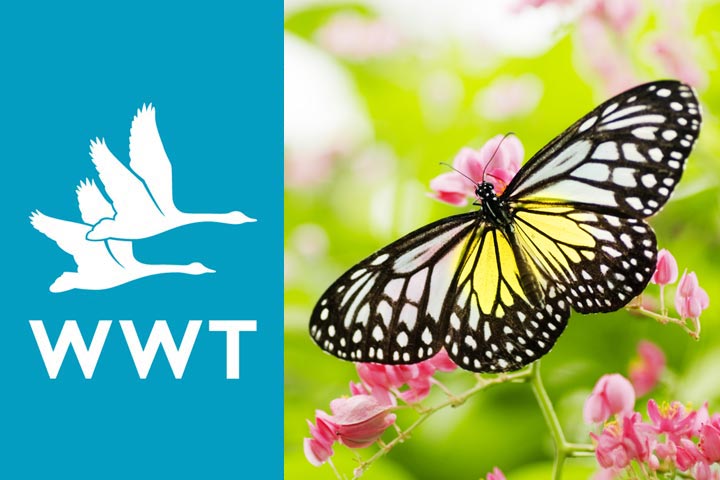 Wildfowl & Wetlands Trust Membership