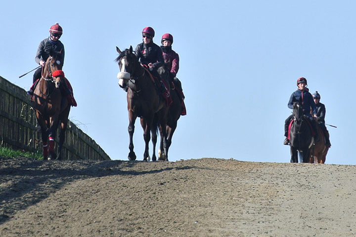 Harraton Court Stables Tour for Two with Darryll Holland | AS.com