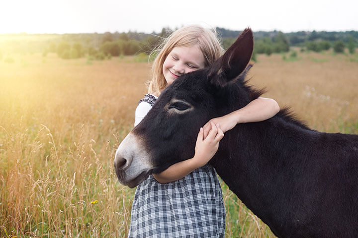 Donkey Hack for One Child